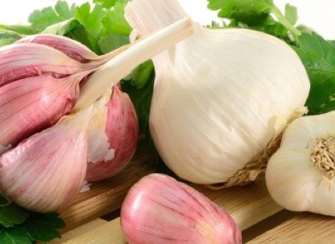 تصویر 2 از قیمت خرید سیر صادراتی درجه یک + فروش ویژه